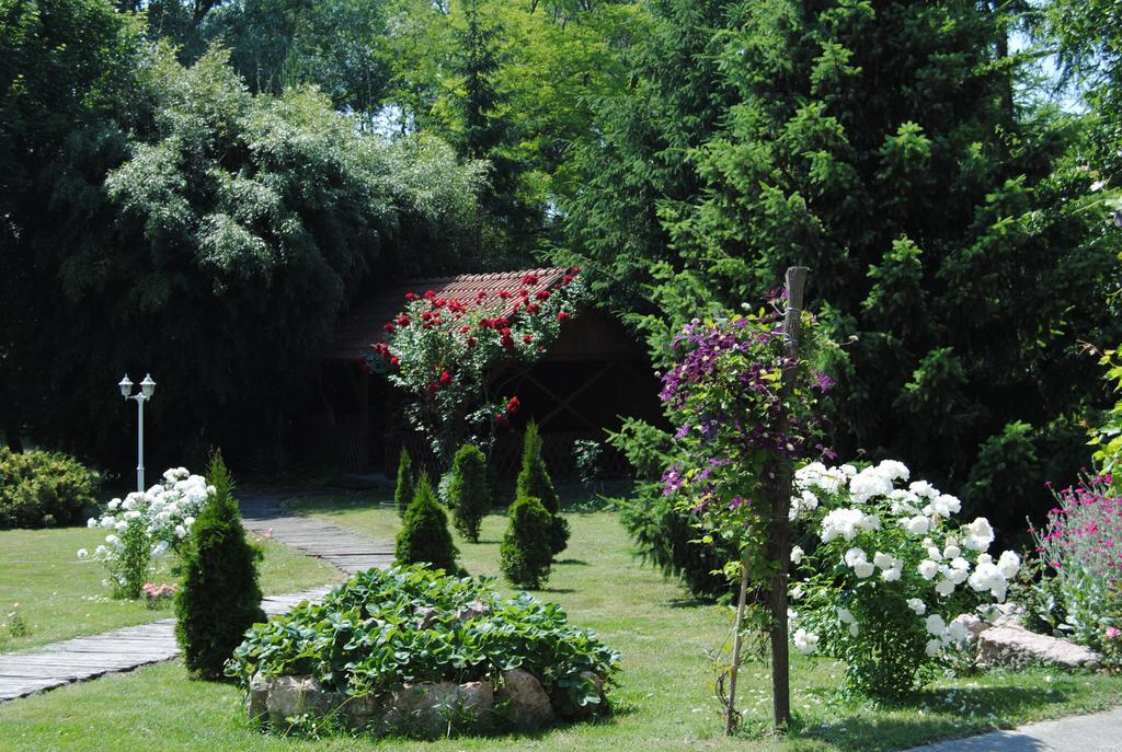 Villa Hedi Dunakiliti Exterior photo